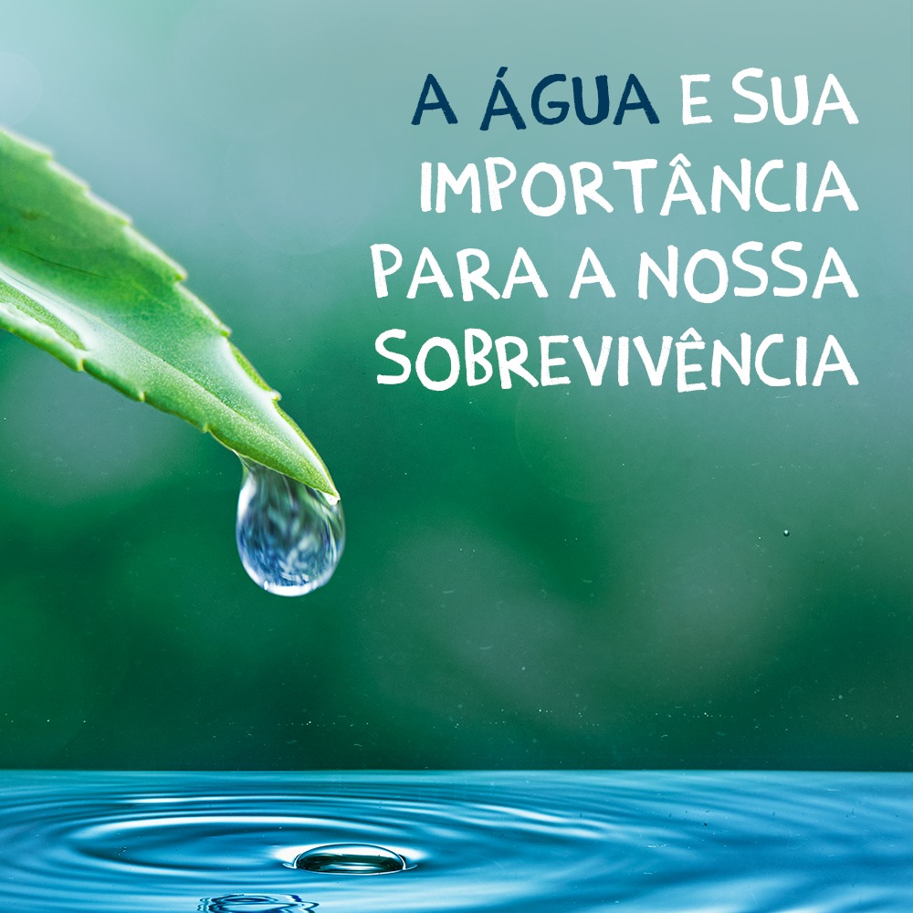 A Importancia Da Agua Em Nossas Vidas - FDPLEARN